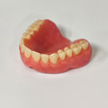 Acrylic Denture Resin Teeth Affordable Full Acrylic Denture