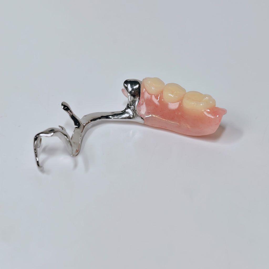 Cobalt Chrome Framework Denture Metal Framework With Acrylic Denture