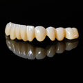 High - Strength Zirconia Bridge