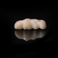 High - Strength Zirconia Bridge