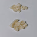High - Strength Zirconia Bridge And Crown