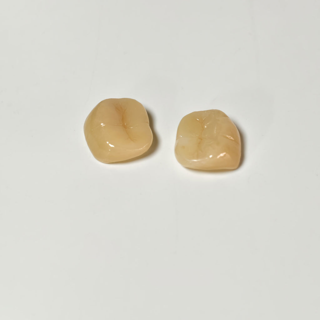 High - Strength Zirconia Crowns