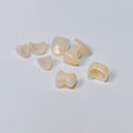 High - Strength Zirconia Crowns And Ceramic Veneers
