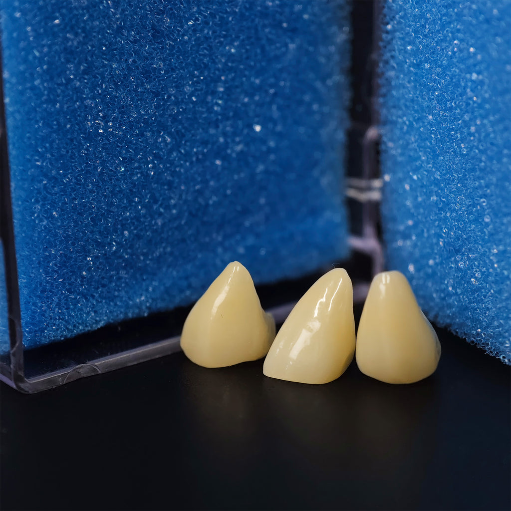 High - Strength Zirconia Crowns