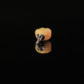 Implant-Supported PFM Single Crown