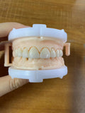 Multilayer Zirconia Crowns Aesthetic Shape Natural Shade Dental Crown