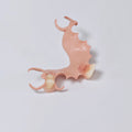 PEEK Framework Denture Metal Framework With Acrylic Denture