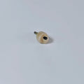 PFM Crown With Screw Retained