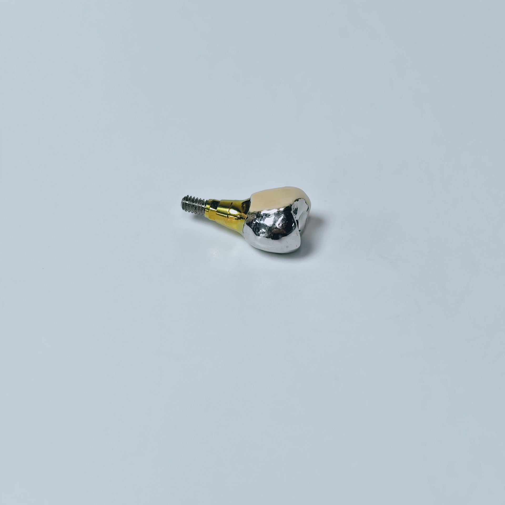 PFM Crown With Screw Retained
