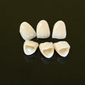 PFZ Crowns Aesthetic Shape Natural Shade Dental Crown