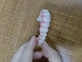 PMMA Bridge With Ti-Base Screw Retained Trying For Full Arch Restoration