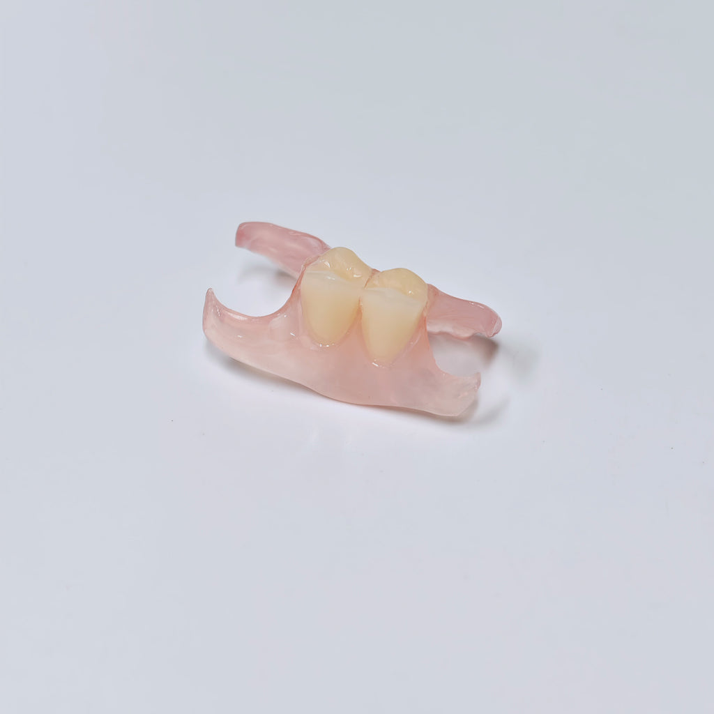 Valplast Denture Beautiful And Elastic Flexible Partial Natural Appearance