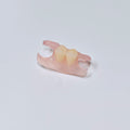 Valplast Denture Beautiful And Elastic Flexible Partial Natural Appearance