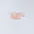 Valplast Denture Beautiful And Elastic Flexible Partial Natural Appearance