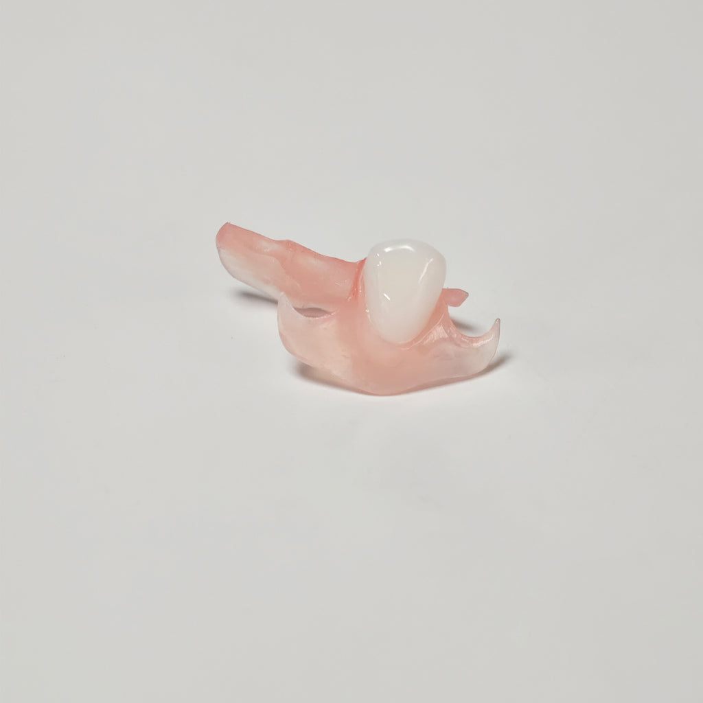 Valplast Denture Beautiful And Elastic Flexible Partial Natural Appearance