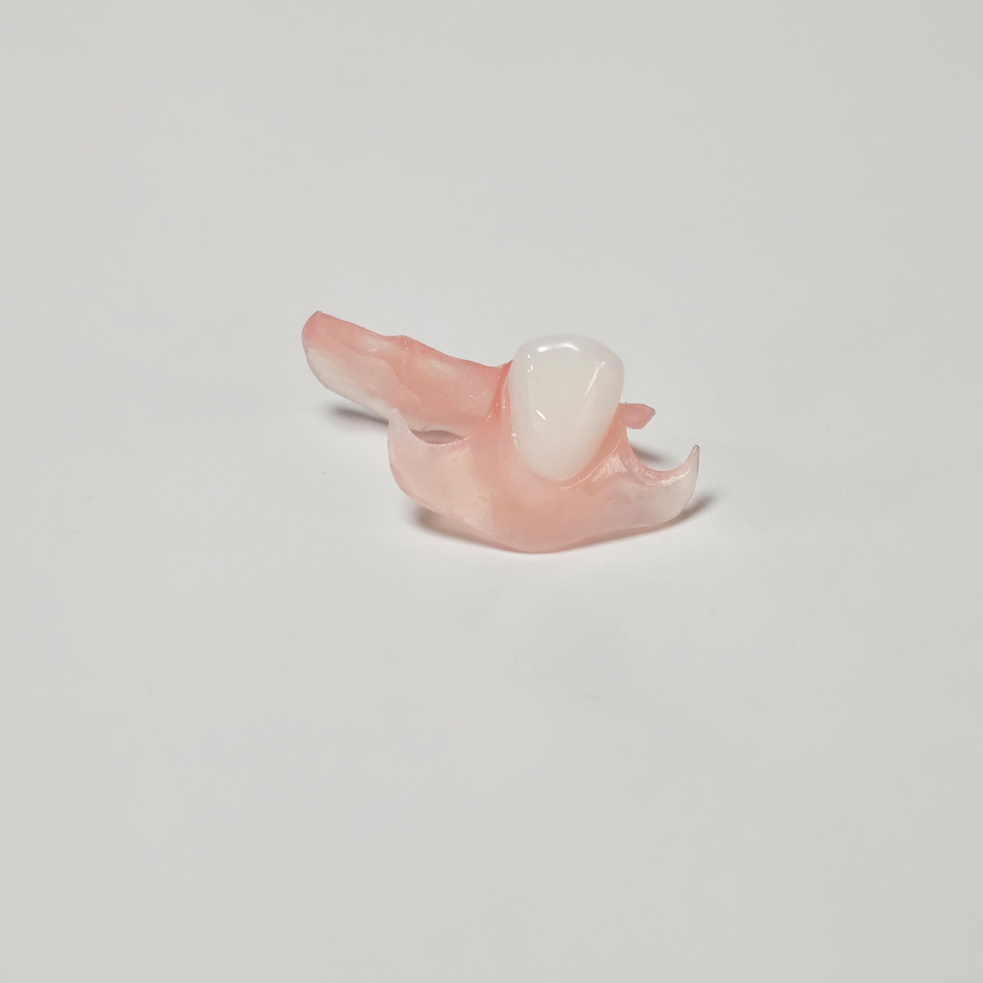 Valplast Denture Beautiful And Elastic Flexible Partial Natural Appearance