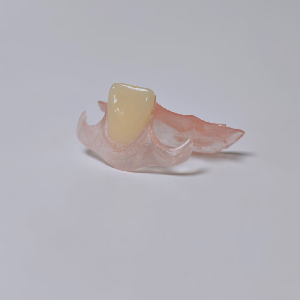 Valplast Denture Beautiful And Elastic Flexible Partial Natural Appearance