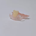 Valplast Denture Beautiful And Elastic Flexible Partial Natural Appearance