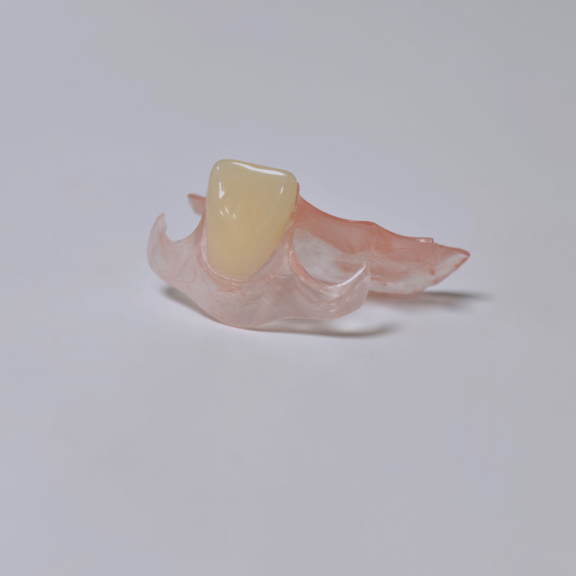 Valplast Denture Beautiful And Elastic Flexible Partial Natural Appearance