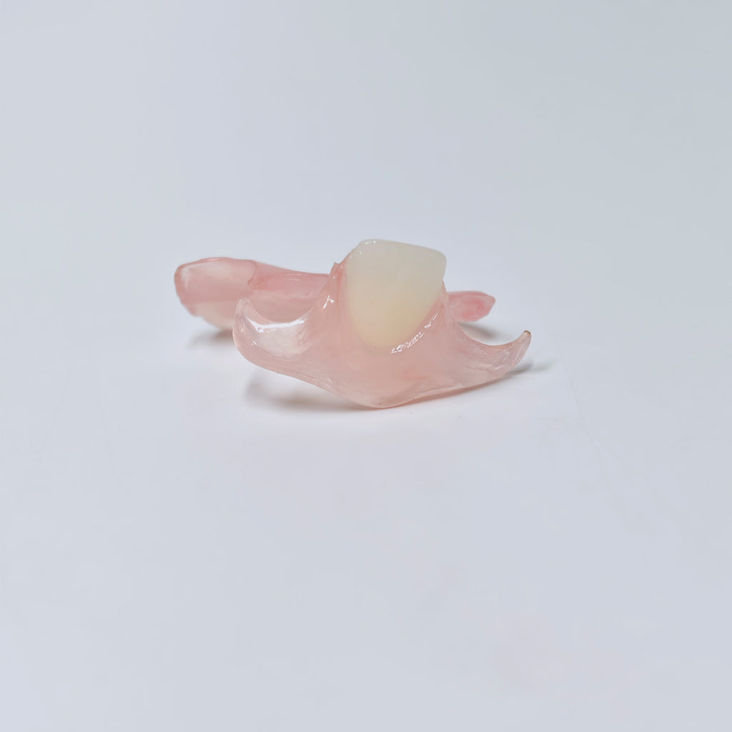Valplast Denture Beautiful And Elastic Flexible Partial Natural Appearance