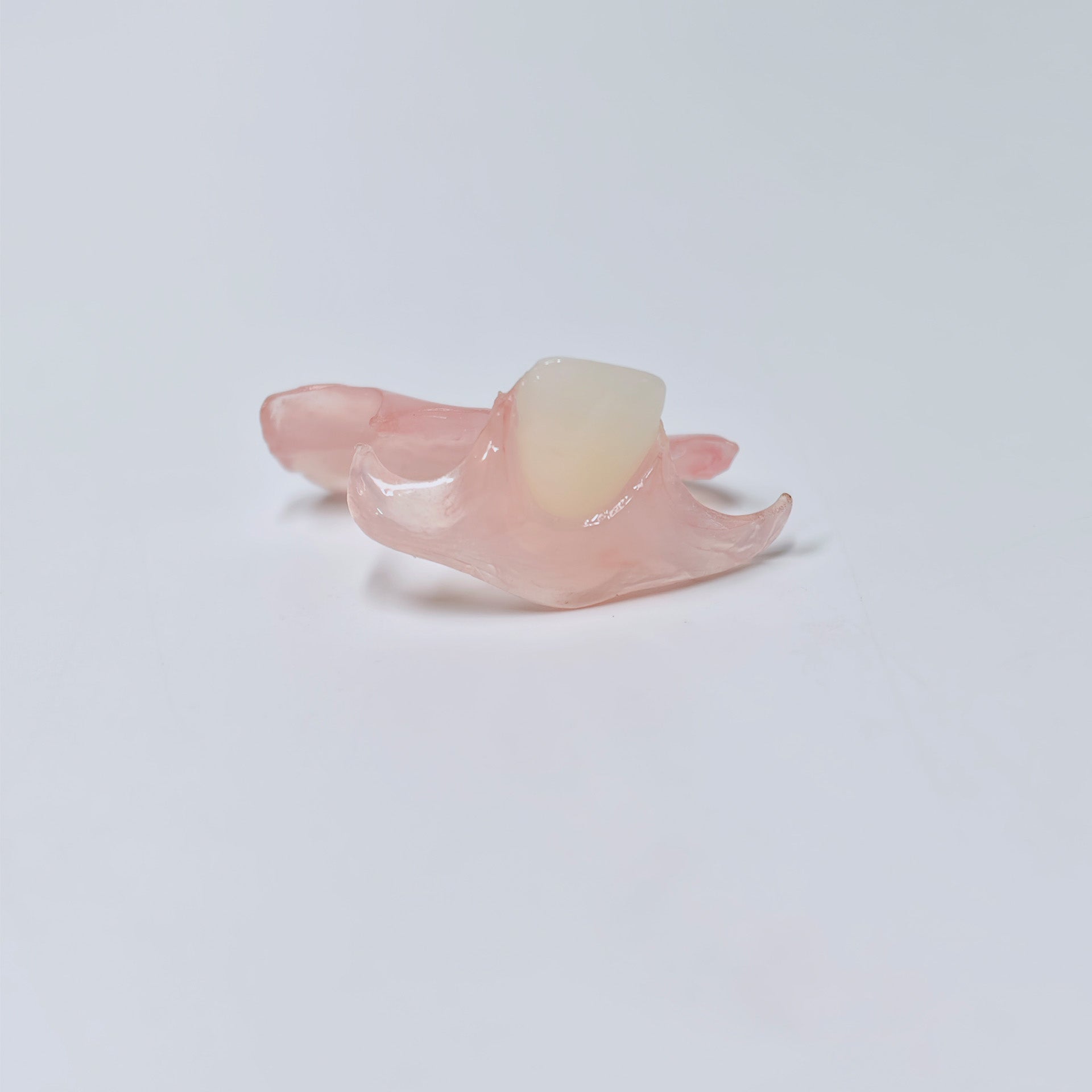 Valplast Denture Beautiful And Elastic Flexible Partial Natural Appearance