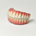 Zirconia-Enamel Hybrid Malo Bridge