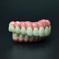 Zirconia-Enamel Hybrid Malo Bridge