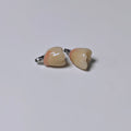 Zirconia Crowns With Screw Retained