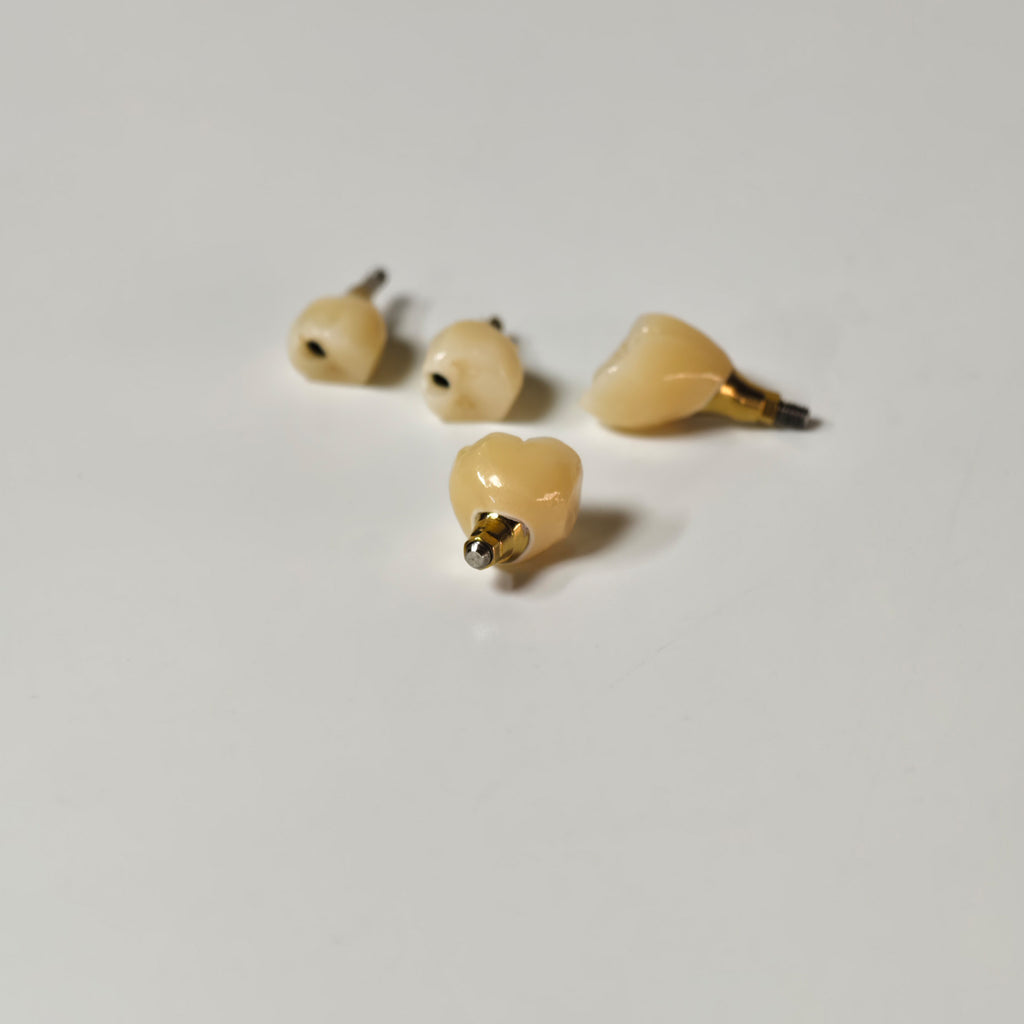 Zirconia Crowns With Screw Retained