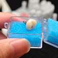 Zirconia Crown With Screw Retained