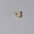 Zirconia Crown With Screw Retained