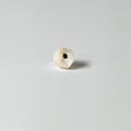Zirconia Crown With Screw Retained