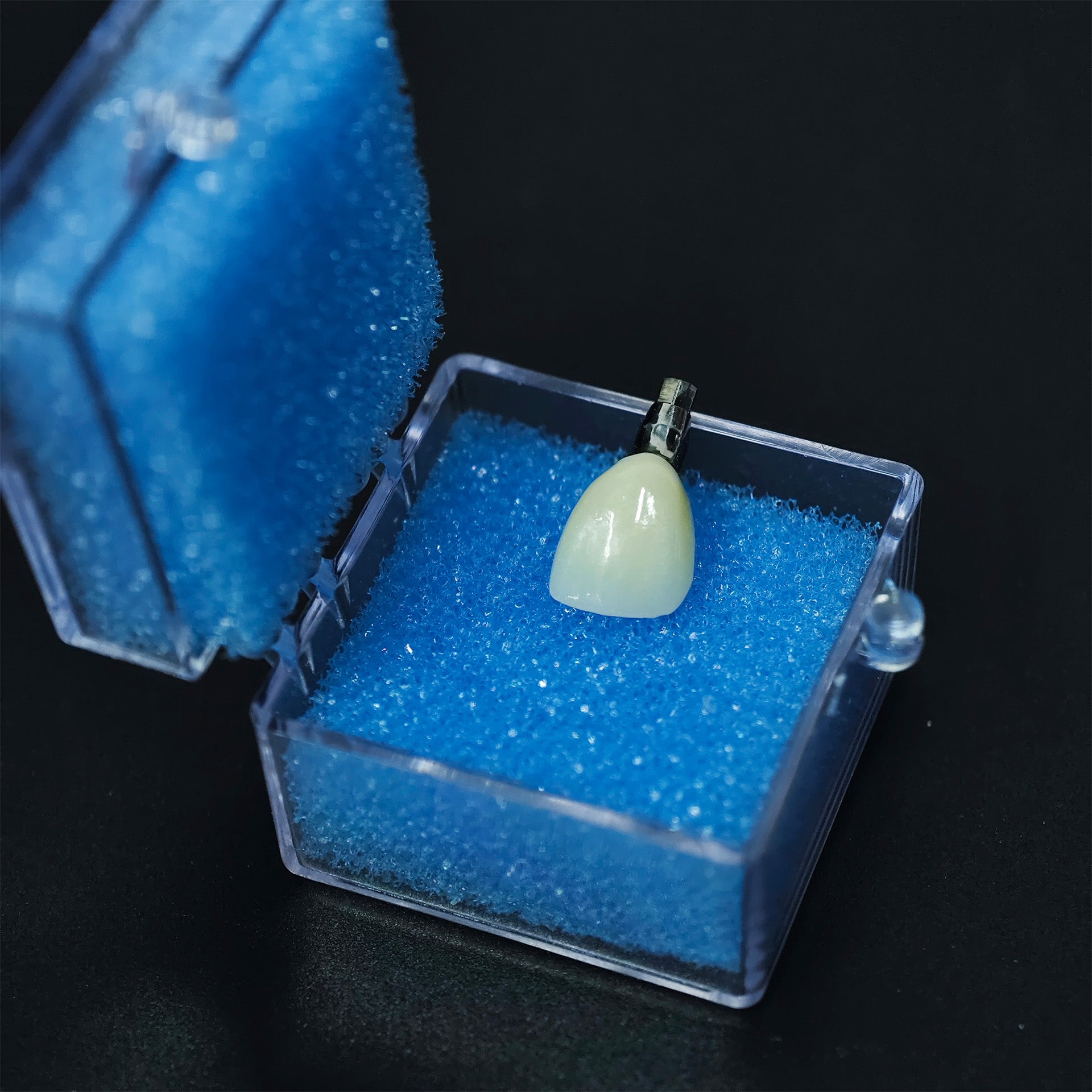 Zirconia Crown With Screw Retained