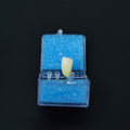 Zirconia Crown With Screw Retained