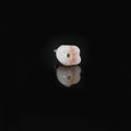 Zirconia Crown With Screw Retained