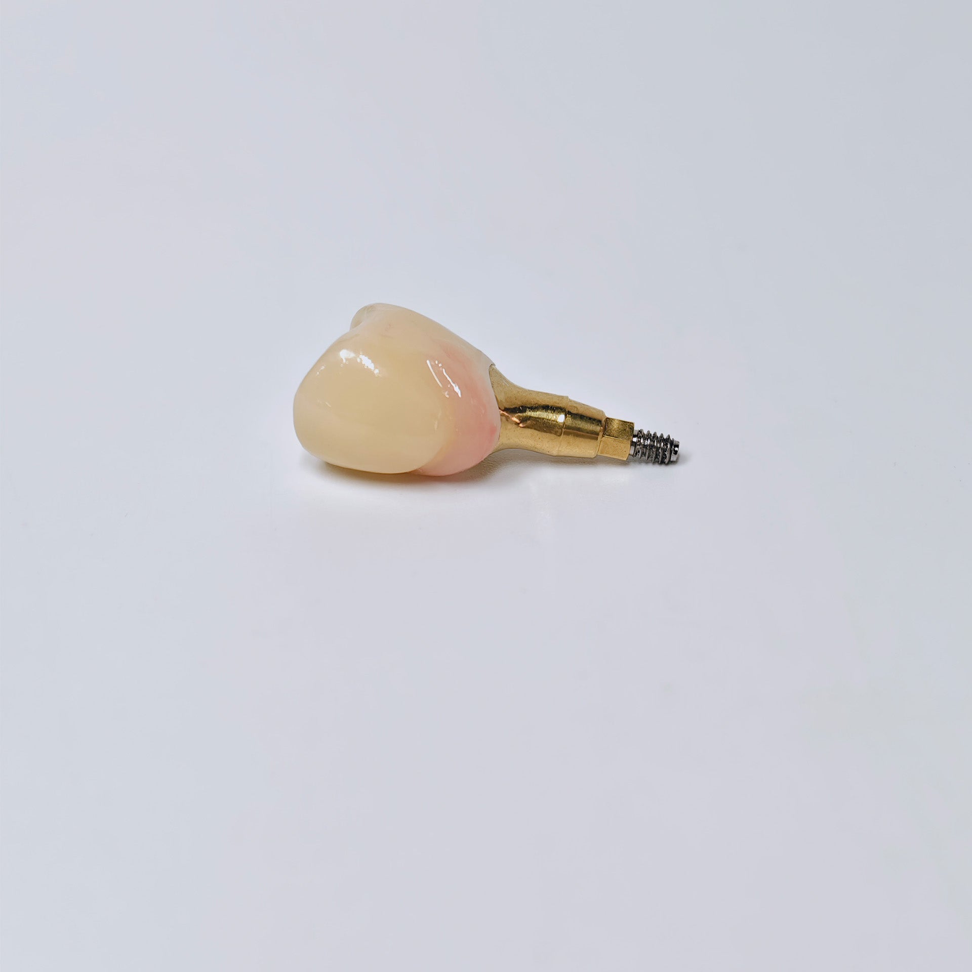 Zirconia Crown With Screw Retained