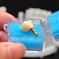 Zirconia Crown With Screw Retained
