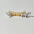 Zirconia Implant Bridge Screwmentable Dental Crown