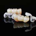 Zirconia Implant Bridge Screwmentable Dental Crown