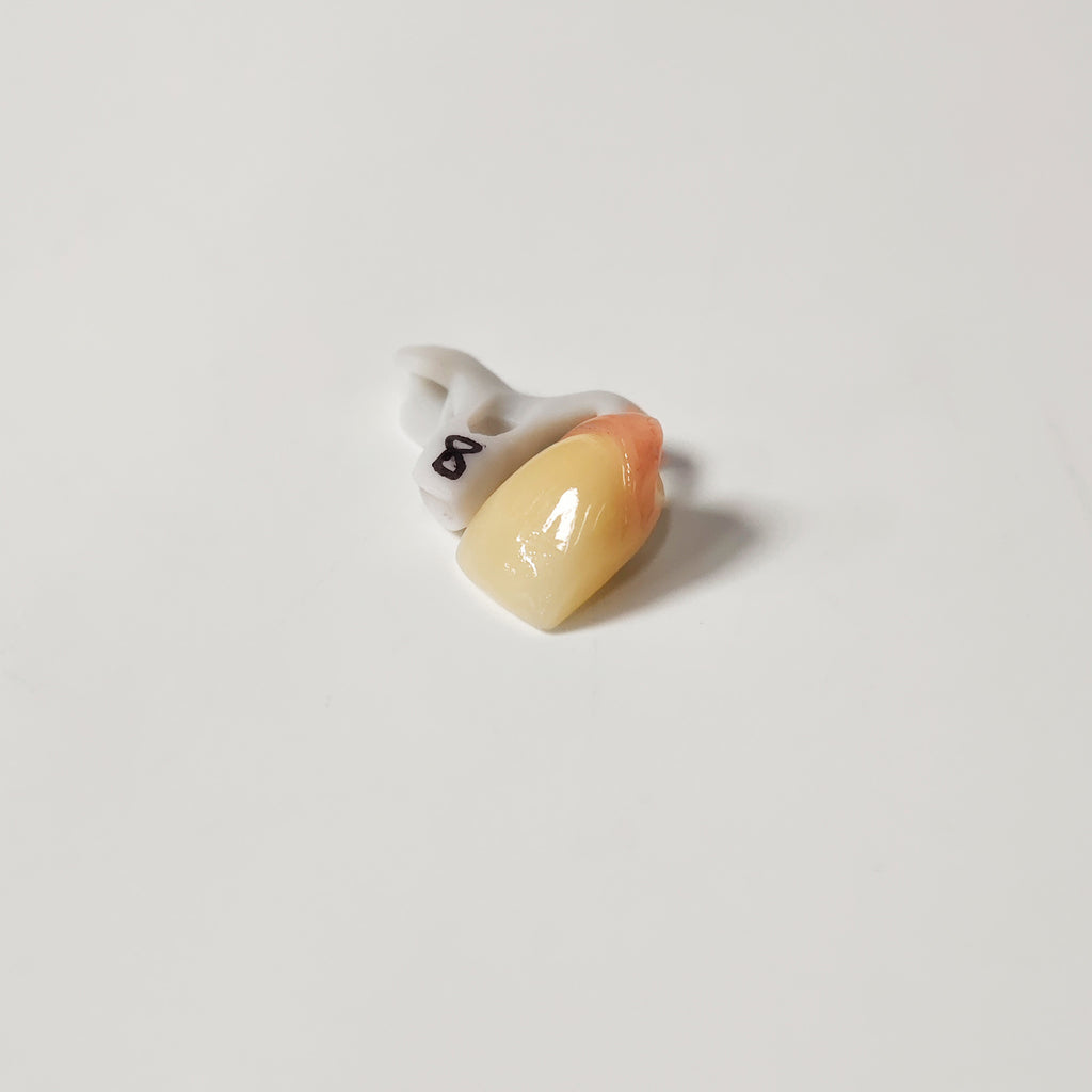 Zirconia Implant Crown Screwmentable Dental Crown