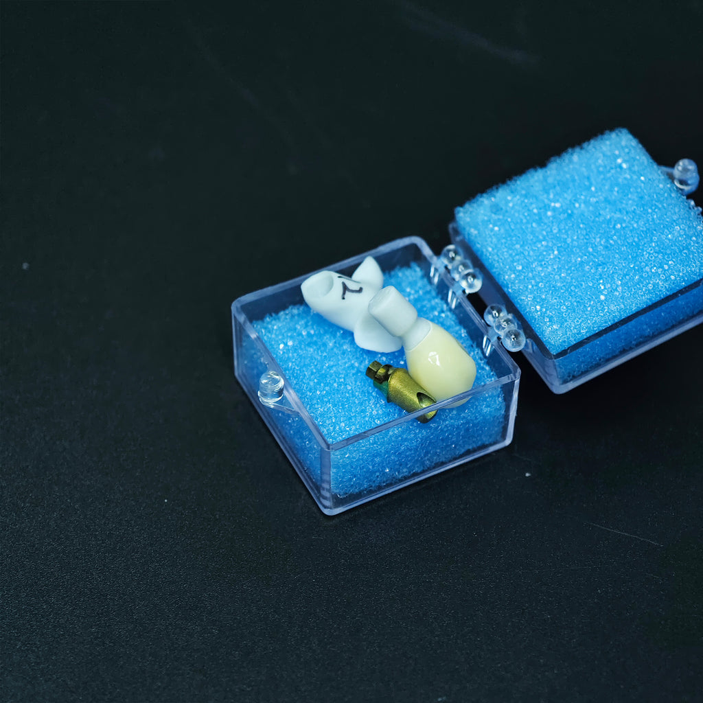 Zirconia Implant Crown Screwmentable Dental Crown
