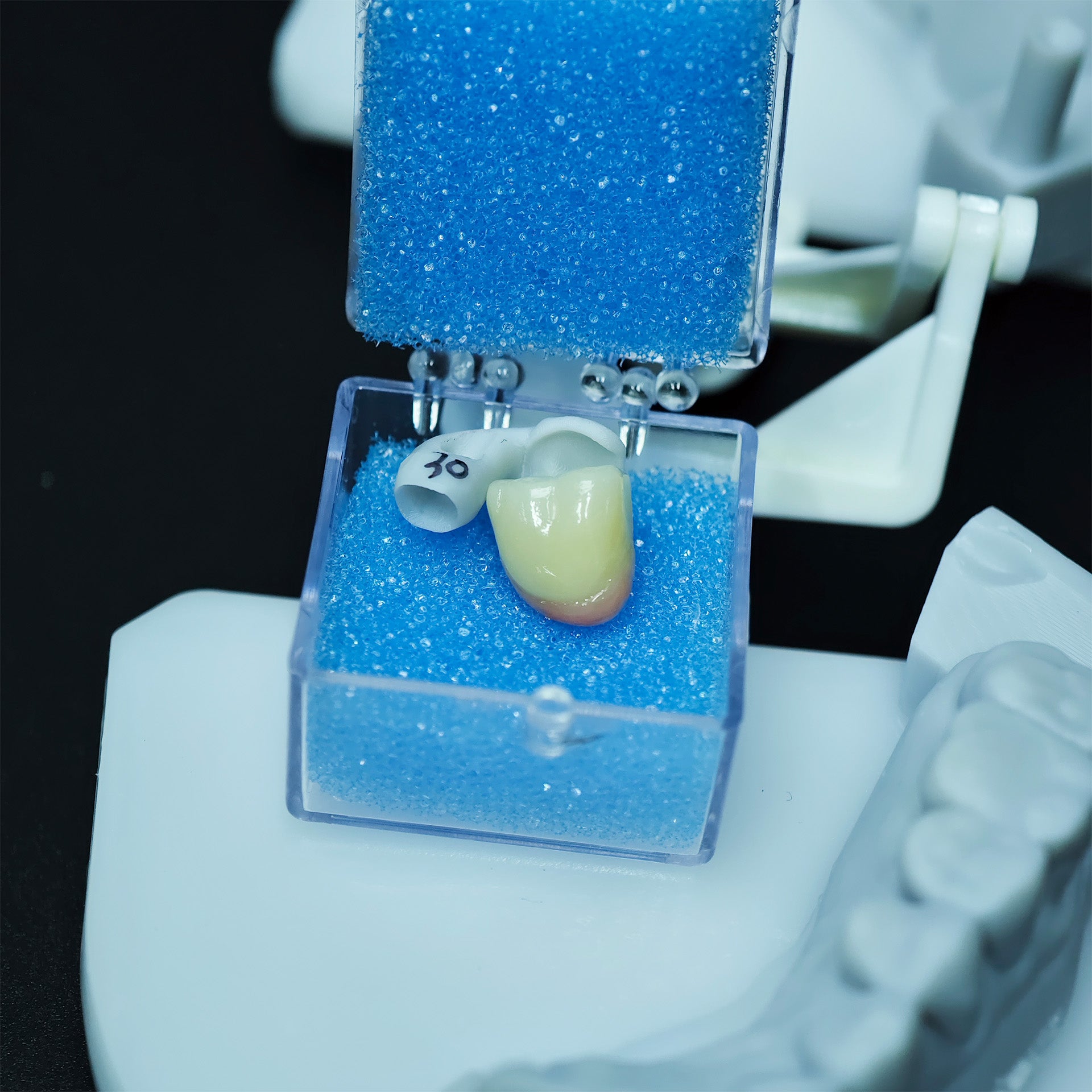 Zirconia Implant Crown Screwmentable Dental Crown