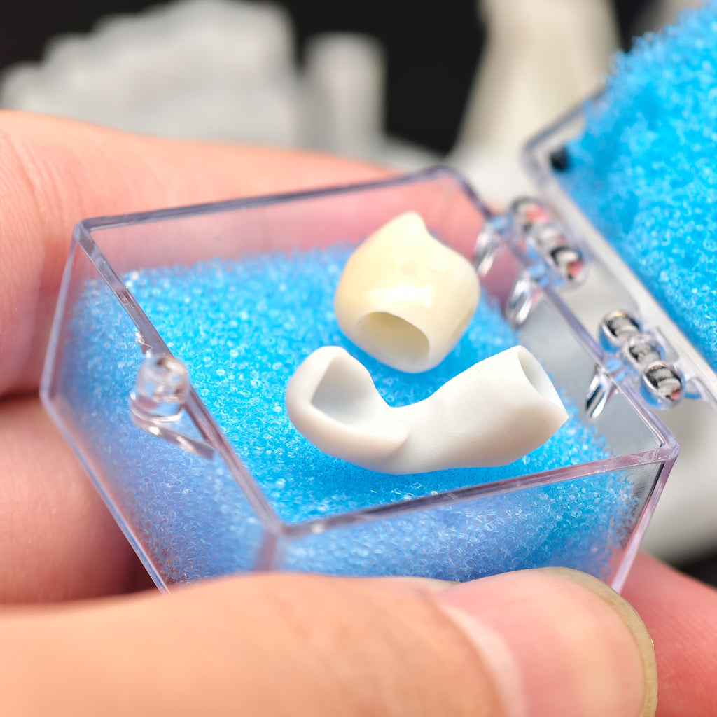 Zirconia Implant Crown Screwmentable Dental Crown