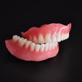 Full-Mouth Acrylic Denture