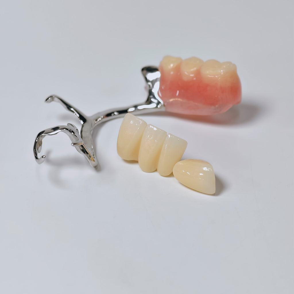 Full-Zirconia Crown And Bridge With Cement Retained And Co-Cr Frame Partial Denture