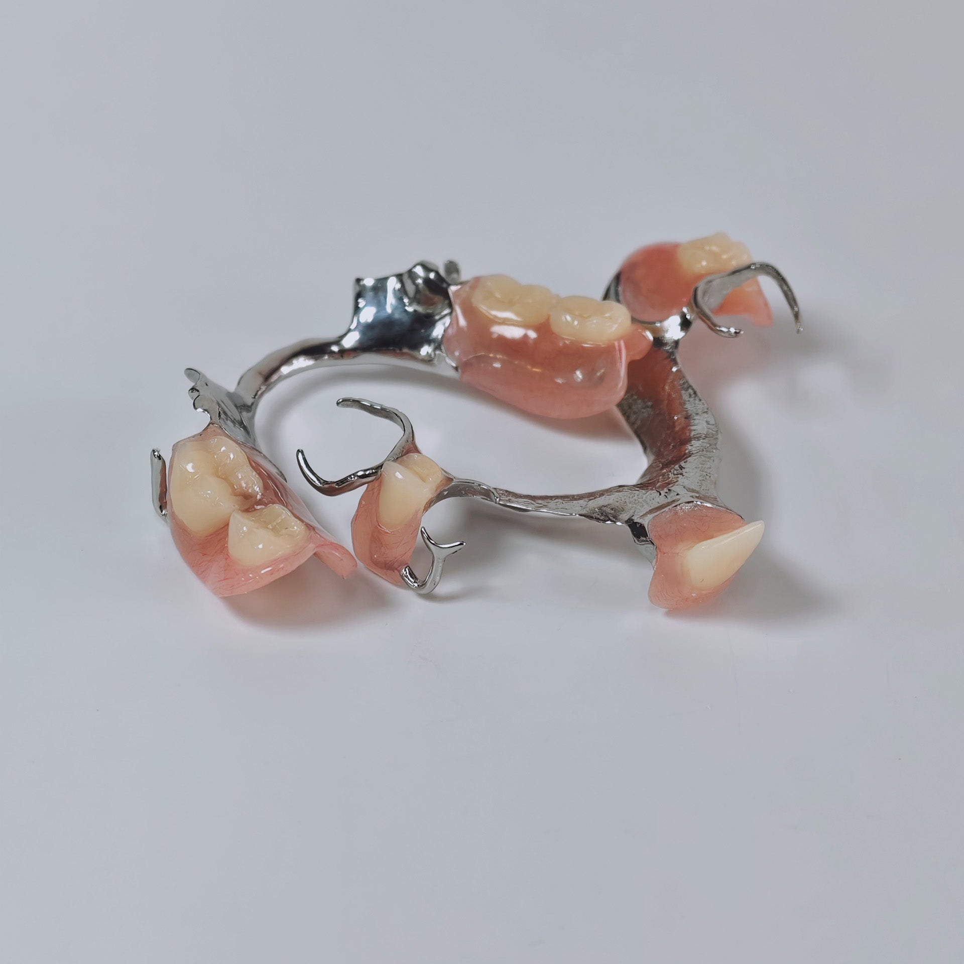 Cobalt Chrome Framework Denture Metal Framework With Acrylic Denture