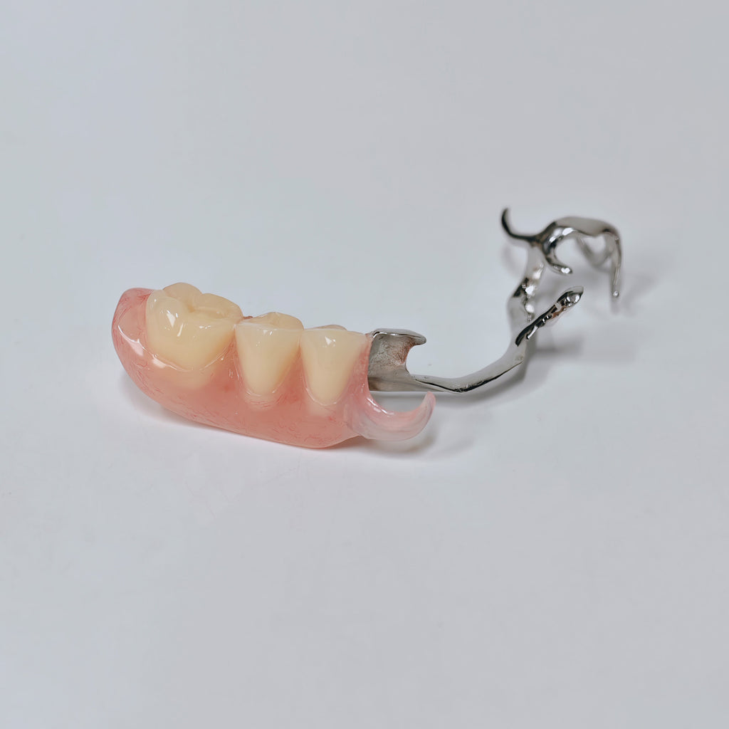 Cobalt Chrome Framework Denture Metal Framework With Acrylic Denture