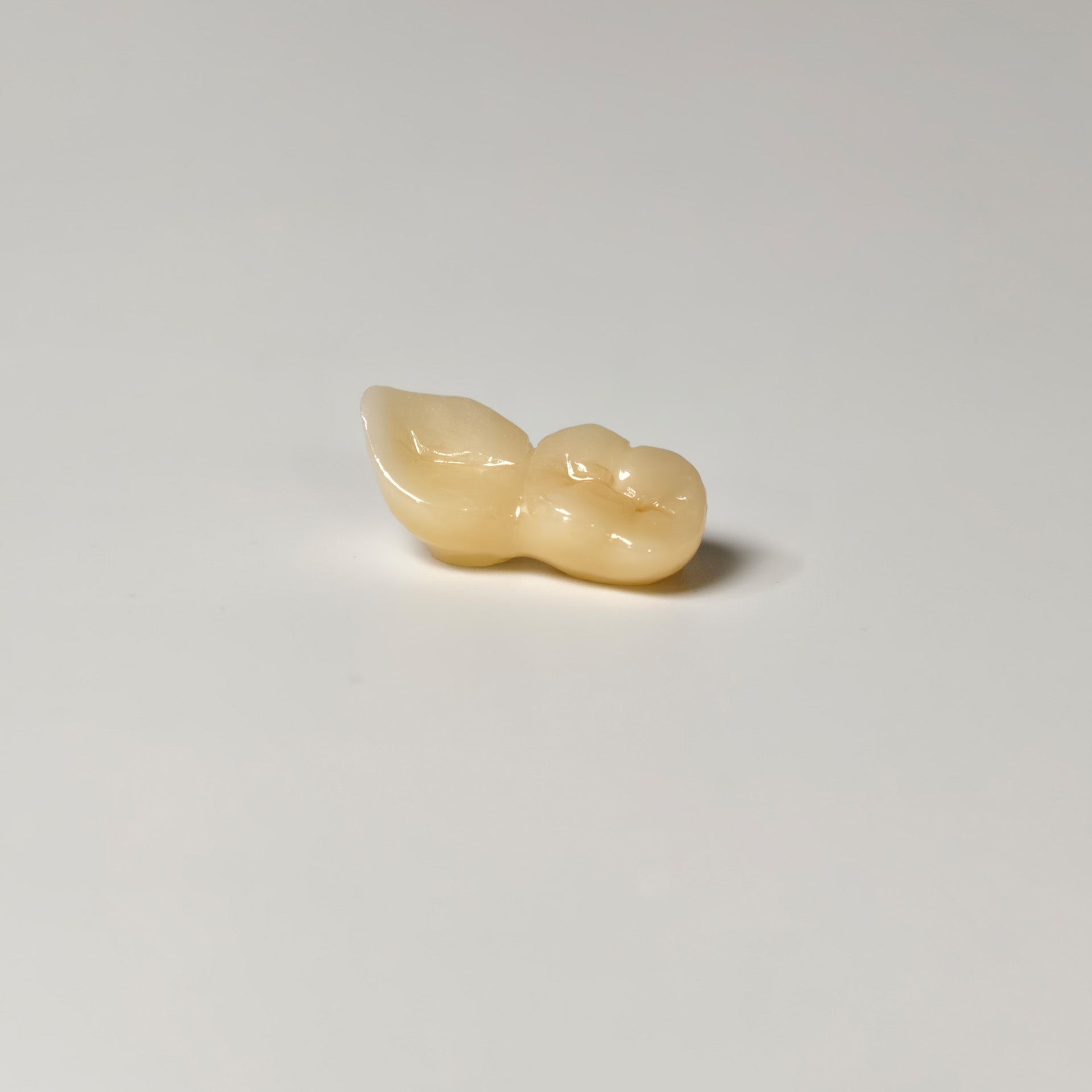 High - Strength Zirconia Bridge
