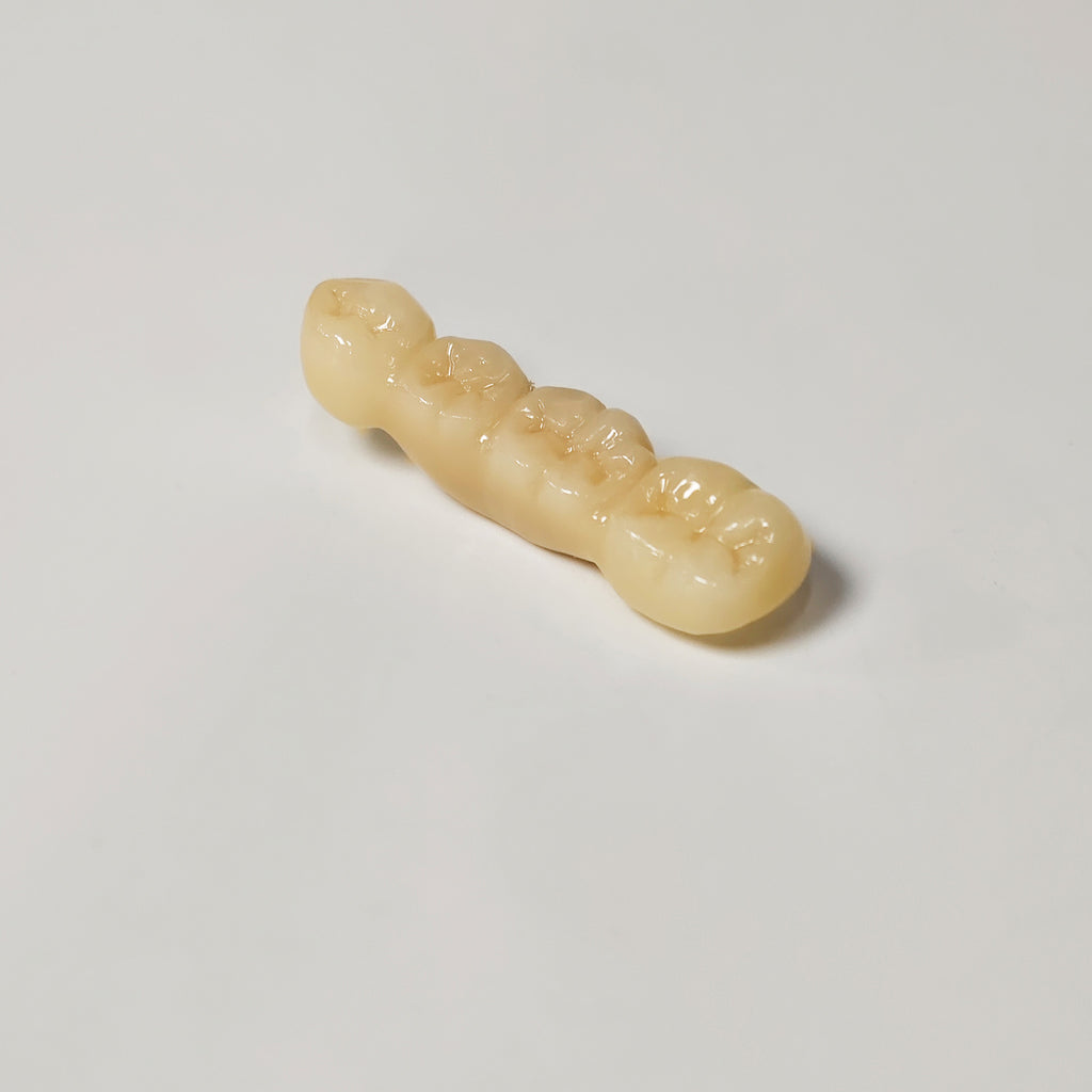 High - Strength Zirconia Bridge