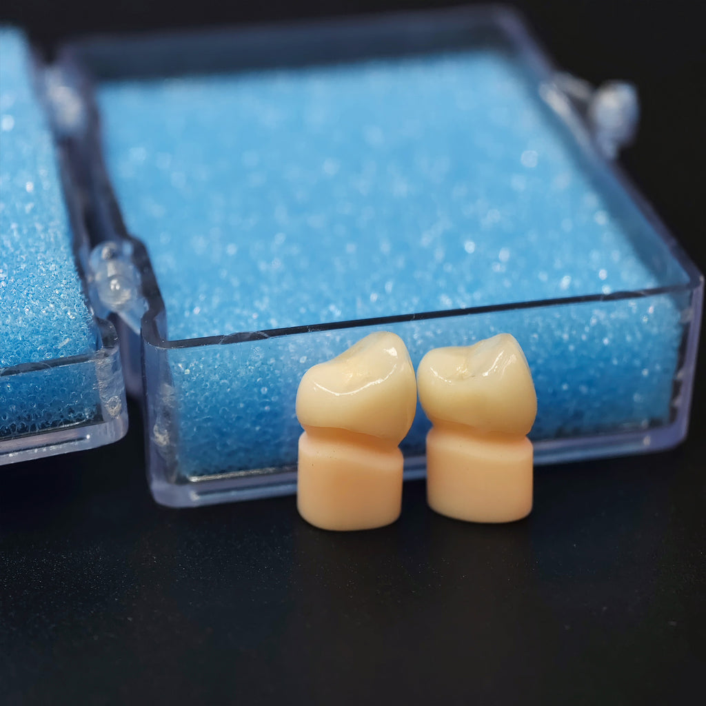 High - Strength Zirconia Crowns